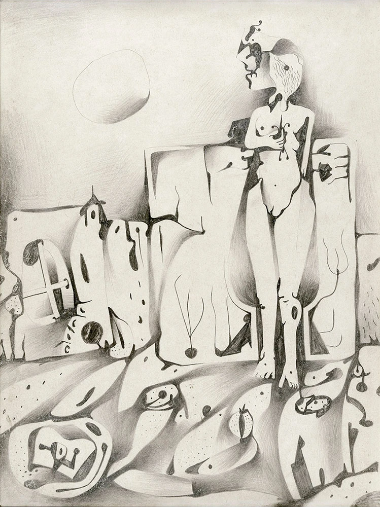 El cuero radiografiado