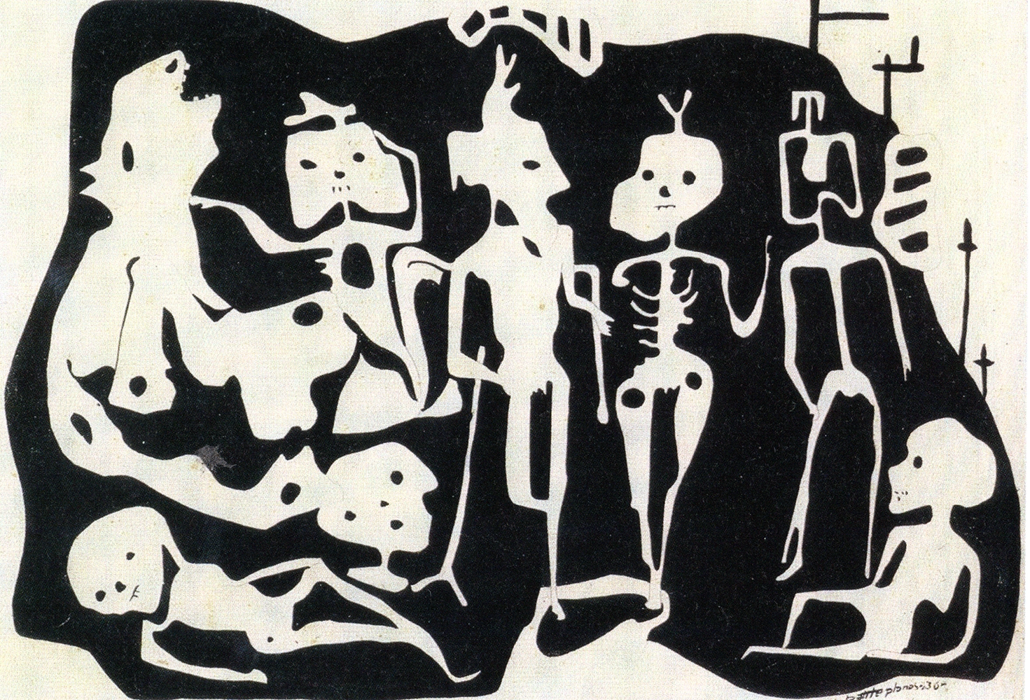 El cuero radiografiado
