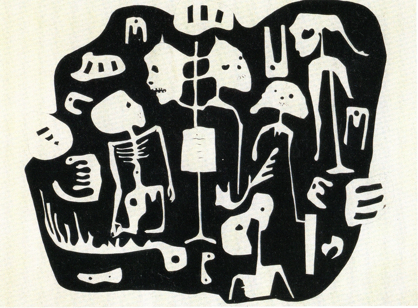 El cuero radiografiado